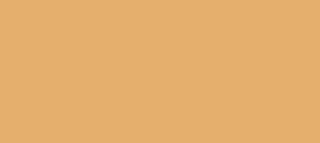 Color #E5AF6D Harvest Gold (background png icon) HTML CSS