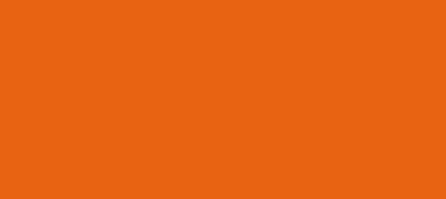 Color #E86312 Persimmon (background png icon) HTML CSS