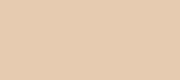 Color #E8CAB1 Desert Sand (background png icon) HTML CSS