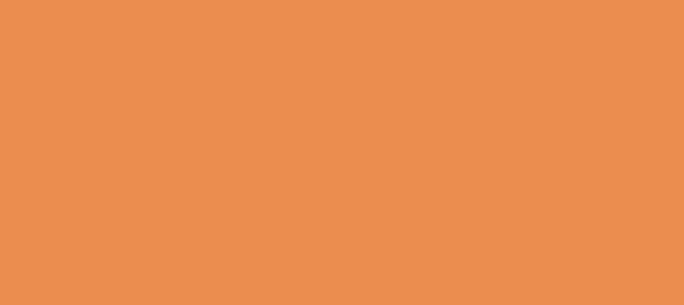Color #E98E4E Sea Buckthorn (background png icon) HTML CSS