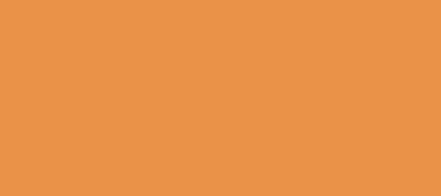 Color #E99248 Sea Buckthorn (background png icon) HTML CSS