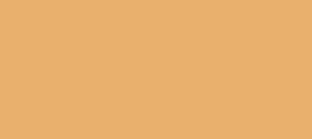 Color #E9AF6D Harvest Gold (background png icon) HTML CSS
