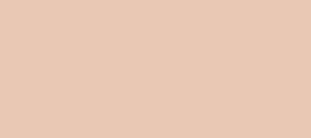 Color #E9C8B4 Desert Sand (background png icon) HTML CSS