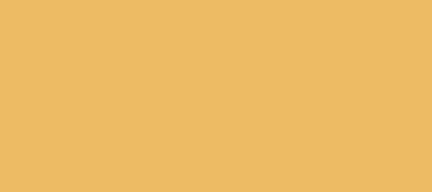 Color #EDBB64 Harvest Gold (background png icon) HTML CSS