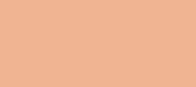 Color #EFB591 Mandys Pink (background png icon) HTML CSS