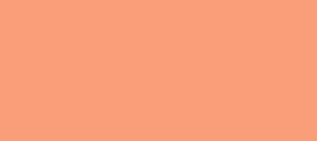 Color #FA9E79 Light Salmon (background png icon) HTML CSS