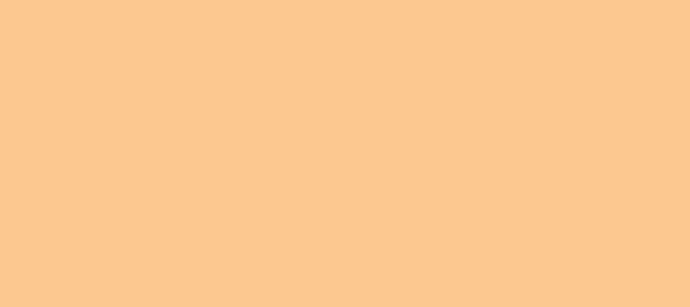 Color #FCC890 Peach-Orange (background png icon) HTML CSS