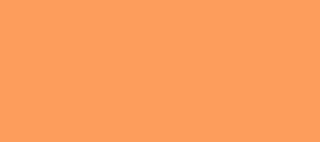 Color #FD9D5C Atomic Tangerine (background png icon) HTML CSS