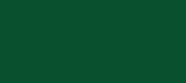 Color #08502E Zuccini (background png icon) HTML CSS