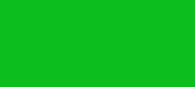 Color #0CBF1E Dark Pastel Green (background png icon) HTML CSS