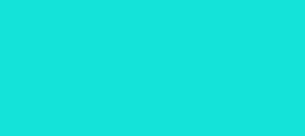 Color #14E3DA Bright Turquoise (background png icon) HTML CSS
