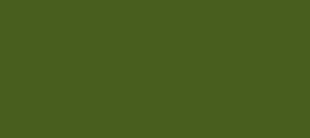 Color #485E1E Verdun Green (background png icon) HTML CSS