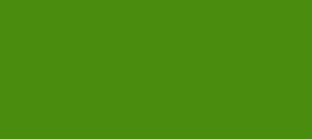 Color #4A8C0D La Palma (background png icon) HTML CSS