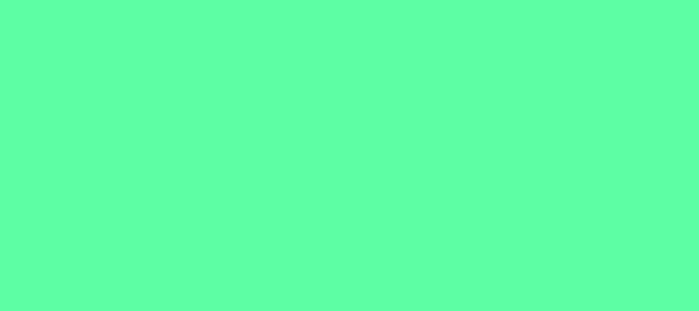 Color #5DFEA4 Medium Aquamarine (background png icon) HTML CSS