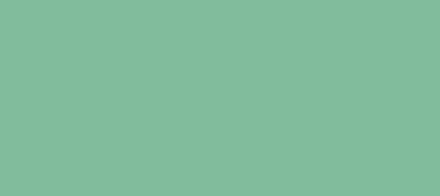 Color #81BC9C Padua (background png icon) HTML CSS