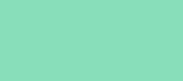 Color #88DEBA Bermuda (background png icon) HTML CSS