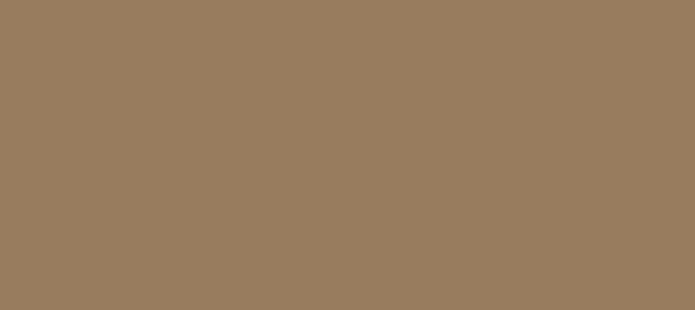 Color #987C5E Sorrell Brown (background png icon) HTML CSS