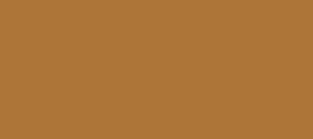 HEX color #AD7535, Color name: Reno Sand, RGB(173,117,53), Windows 