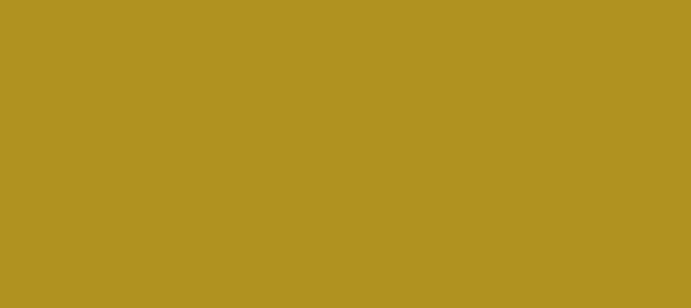 HEX color #B09220, Color name: Sahara, RGB(176,146,32), Windows