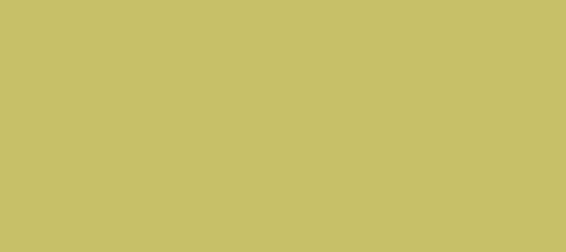 Color #C8C069 Dark Khaki (background png icon) HTML CSS