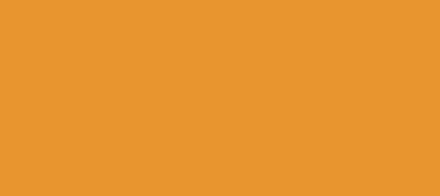 Color #E9952F Sun (background png icon) HTML CSS