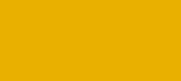 Color #EAB000 Selective Yellow (background png icon) HTML CSS