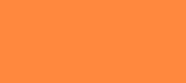 Color #FF883E Sun (background png icon) HTML CSS